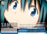 I was stupid, so stupid [Puella Magi Madoka Magica]