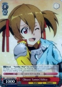 Beast Tamer Silica [Sword Art Online]