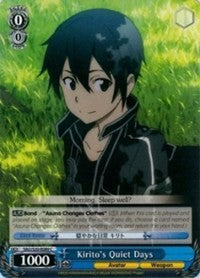Kirito's Quiet Days [Sword Art Online]