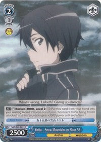 Kirito - Snow Mountain on Floor 55 [Sword Art Online]