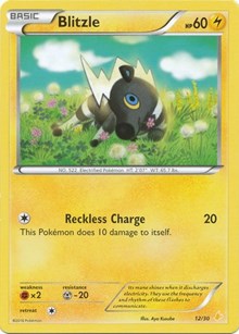 Blitzle (12) (12/30) [XY Trainer Kit: Pikachu Libre & Suicune]