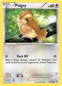 Pidgey (75/106) [XY - Flashfire]
