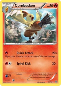Combusken (27/160) [XY - Primal Clash]